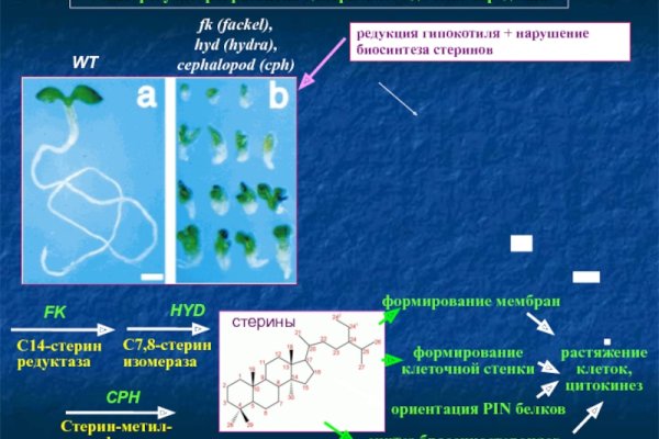 Кракен наркоплейс