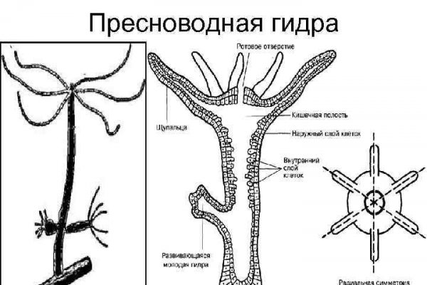 Кракен зеркало 2025